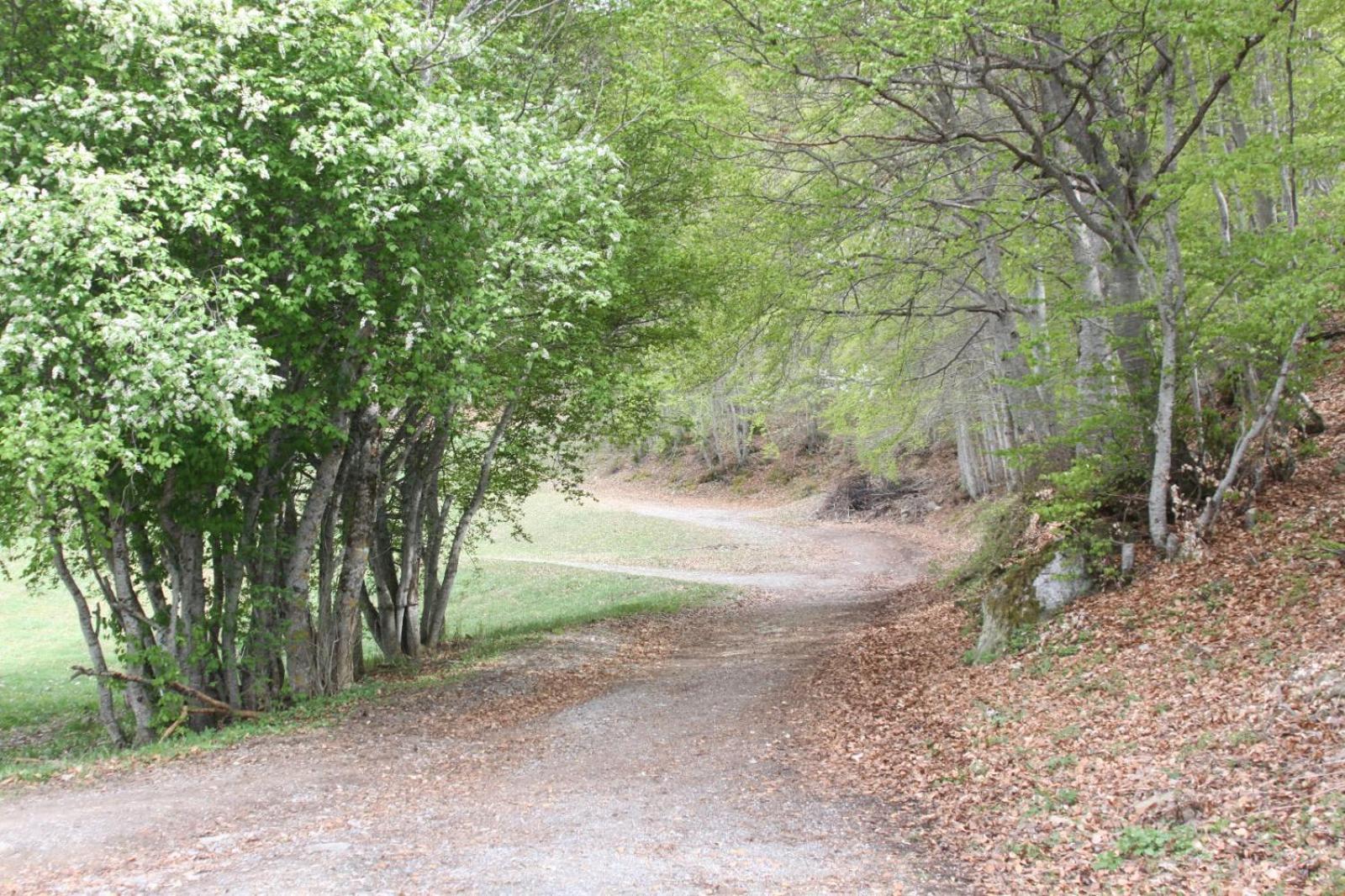 Les Gites De L'E.D.E. Saint-Leger-les-Melezes Dış mekan fotoğraf
